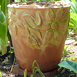 Thumbnail image for item 