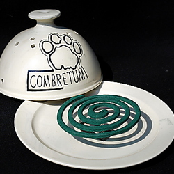 Thumbnail image for item 