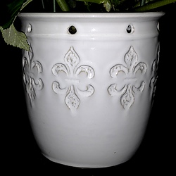 Thumbnail image for item 