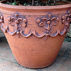 Thumbnail image for item 