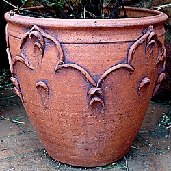 Thumbnail image for item 